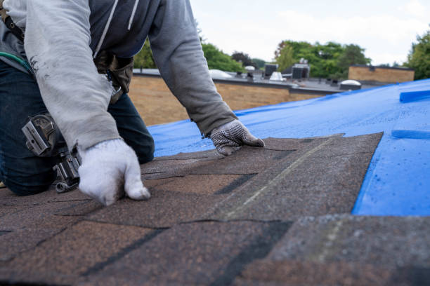 Best Local Roofing Companies  in Brookings, OR